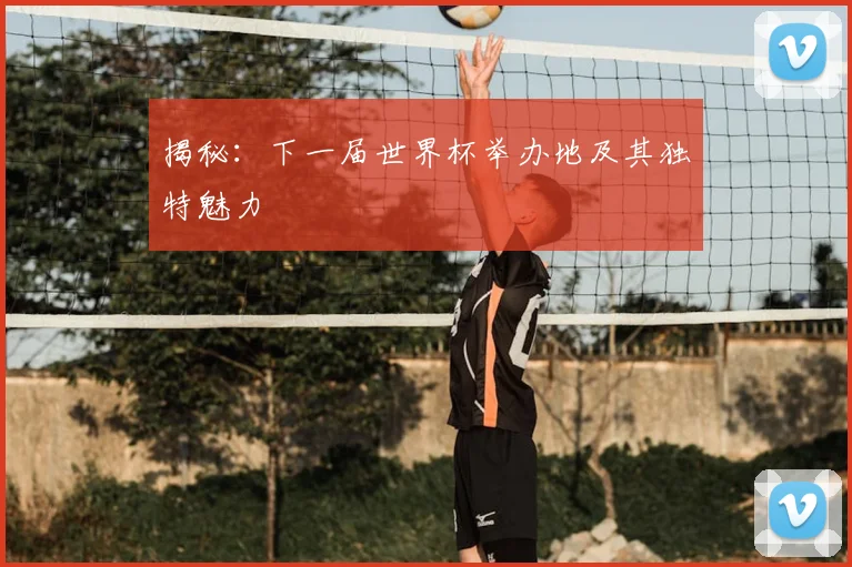 揭秘:下一届世界杯举办地及其独特魅力