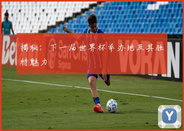 揭秘：下一届世界杯举办地及其独特魅力